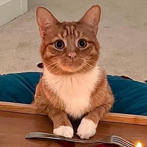 Meet your Posher, First name